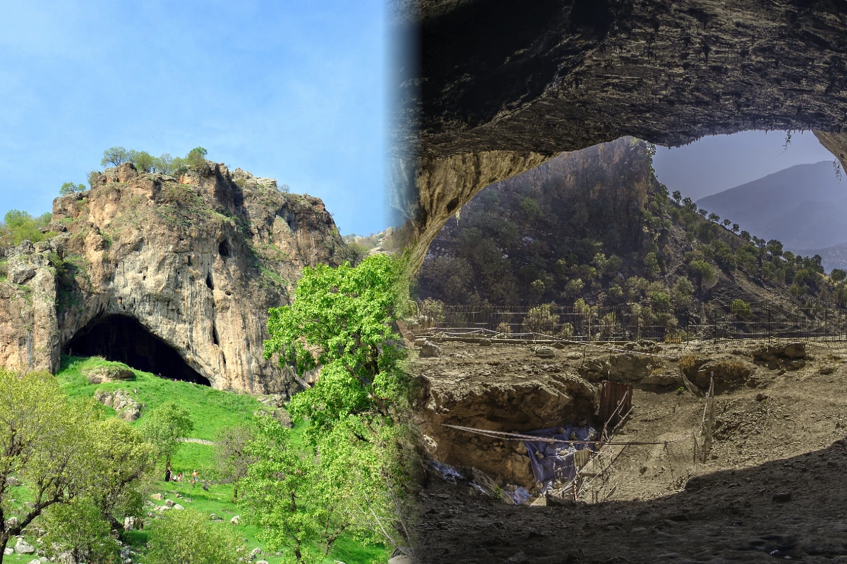 NEANDERTALLERİN ÇİÇEKLİ MEZARI: SHANIDAR (75.000 YIL ÖNCE)