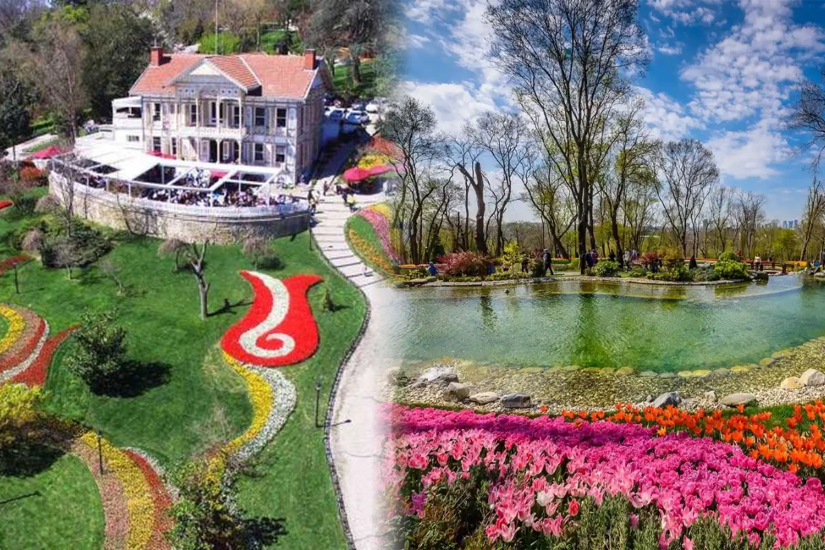 Boğaz'ın Renkli Tepesi: Emirgan Korusu