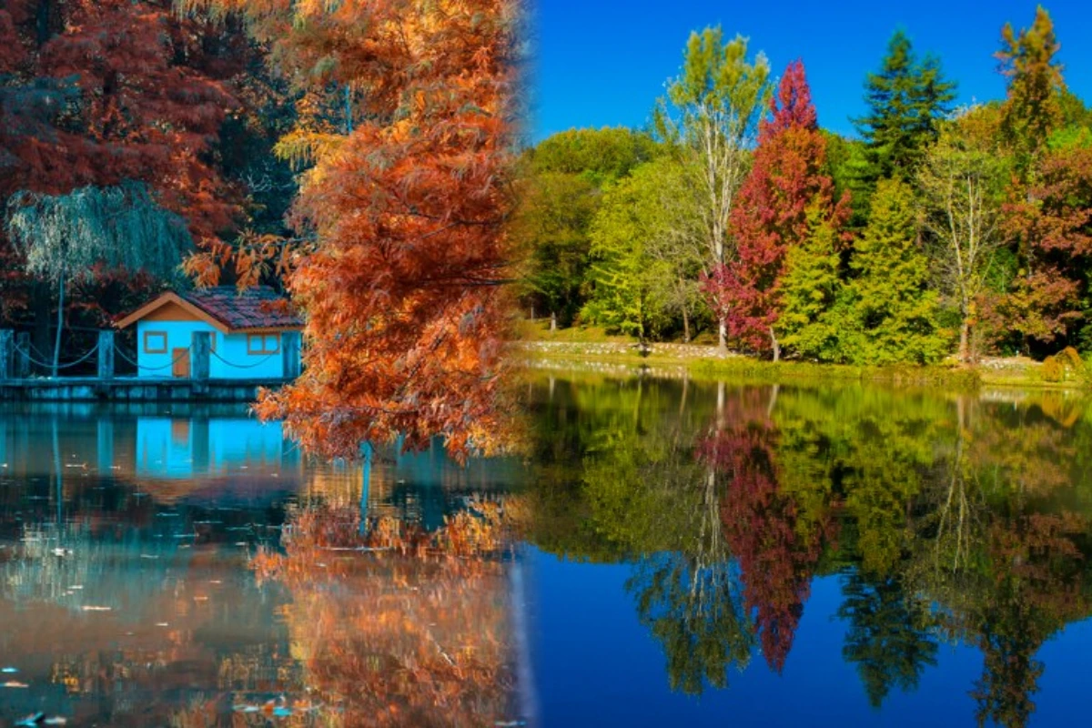 Doğanın Canlı Müzesi: Atatürk Arboretumu