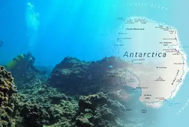 Şaşırtan keşif! Antarktika'da 332 sualtı kanyonu keşfedildi